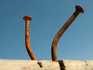 Dos claus rovellats clavats en una fusta