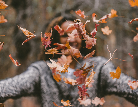 Una noia a l'aire lliure aixeca fulles que han caigut d'un arbre