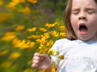 Una nena a punt d'esternudar amb unes flors a la mà