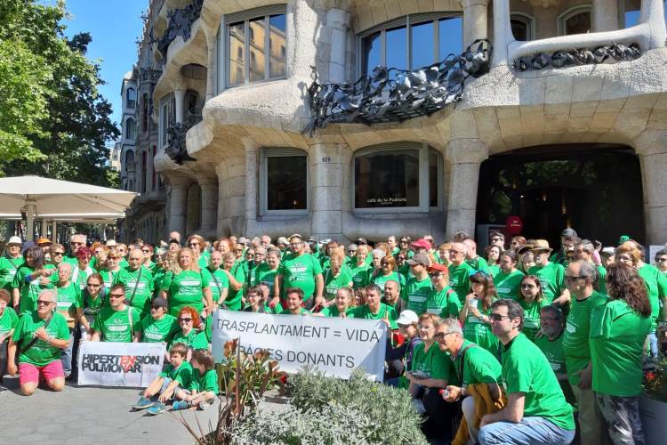 Caminada associacions