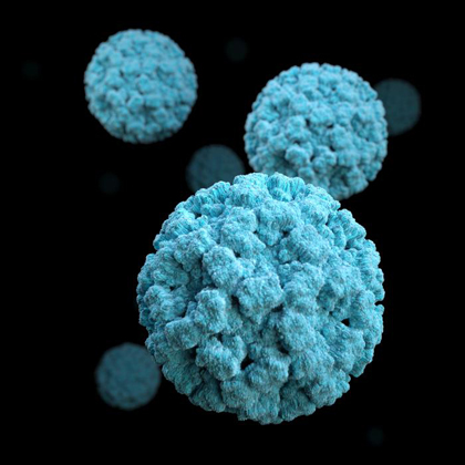 Vista en 3D del norovirus