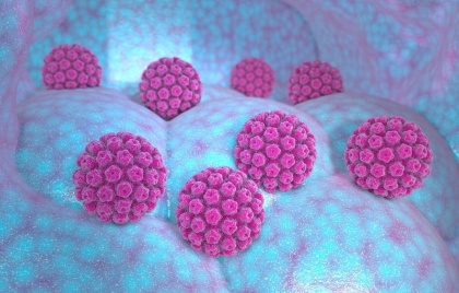 Vista microscòpica del Virus del papil·loma humà