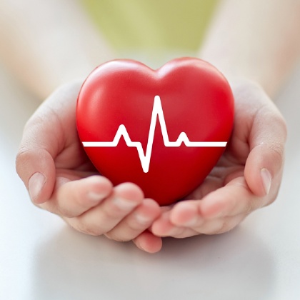 Unes mans subjecten un cor amb una línia que representa la freqüència cardíaca