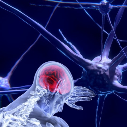 Interior del cap i les espatlles d'un ésser humà amb una neurona de fons