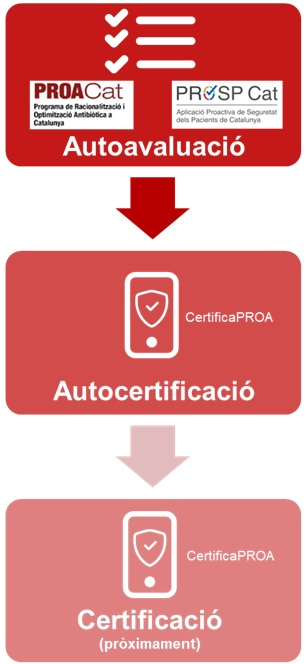 diagrama-vertical diagrama-vertical