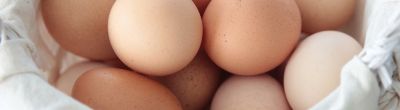 Els ous