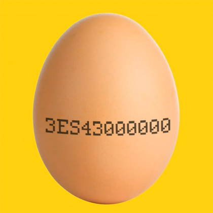 Un ou amb un codi imprès a la closca