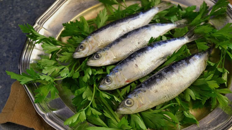 Un plat ple de sardines