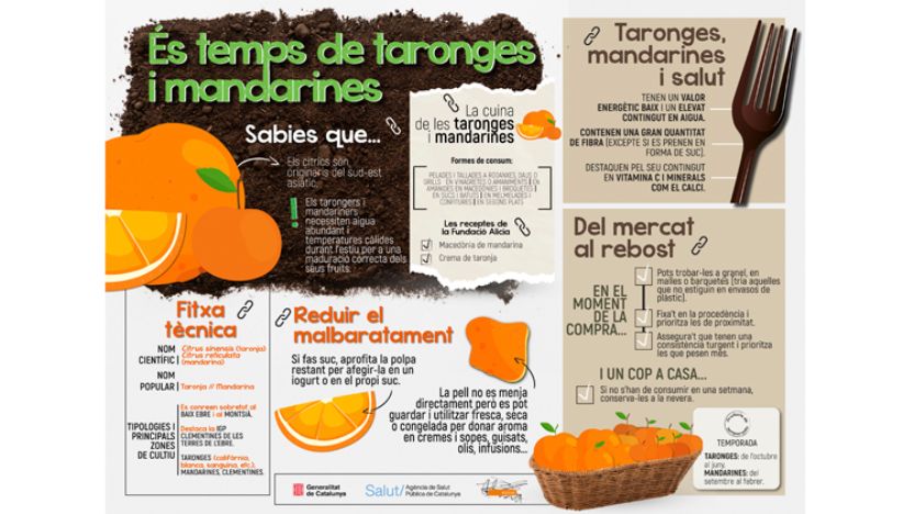 Portada de la infografia: És temps de taronges i mandarines
